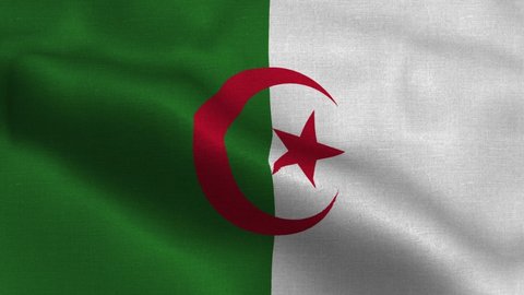 National flag of Algeria waving original size and colors 4k 3D Render