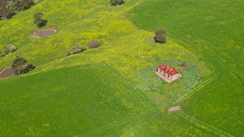 Green grass fields of rural Australia. Adelaide countryside landscape