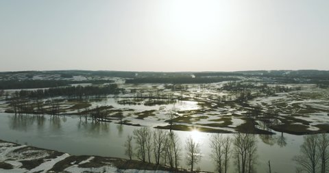 Flooded river floodplain with snow field and forest in wild lanscape. High altitude wide drone view flooded area at spring time cloudy day