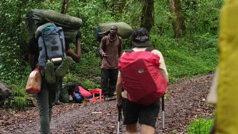 Kilimanjaro. Tanzania. Africa - 12.24.2021 A group of porters and hikers begin their trek Entrance to Kilimanjaro Rainforest National Park - Machame Gate