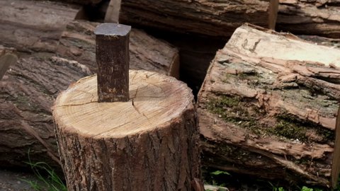 Lumberjack chopping trunk using wedge and hammer, slow motion footage