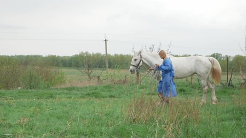 veterinarian checks Trotting horse, limping on front leg. lame