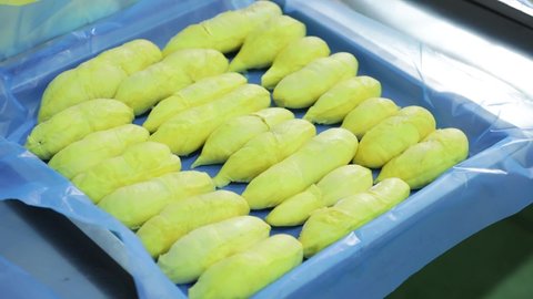 Durian in Freeze Dry Process,One of The Process For Export Durian Freeze Dry to Around Thw World