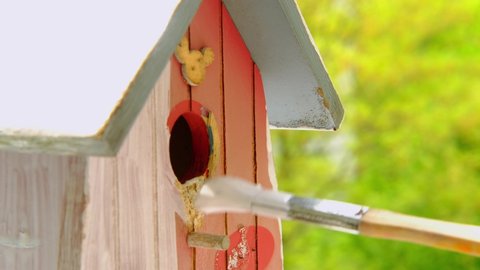 preparing a birdhouse for the new spring season, painting the house white with a paint brush, large strokes on the surface, the concept of a bird's housewarming, helping animals