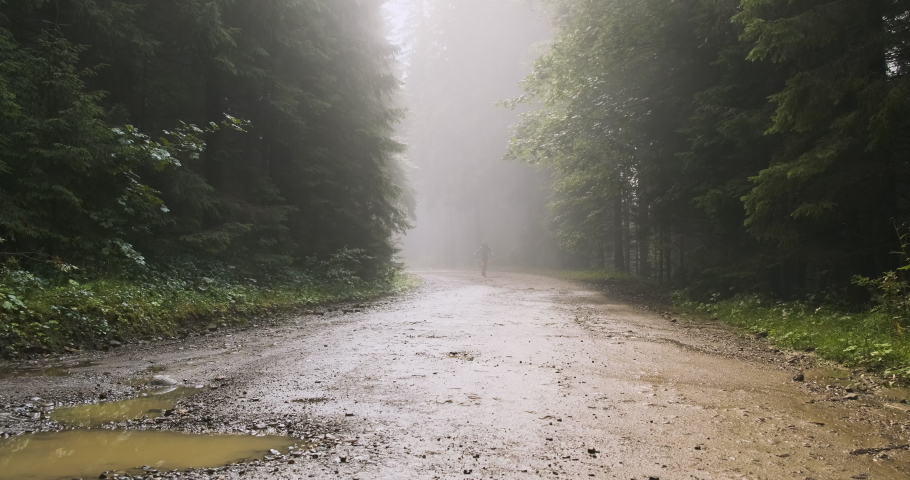young girl runs out of a foggy forest along a wet dirt road. Forest after the rain, everything is wet. Saving a woman from a dangerous forest