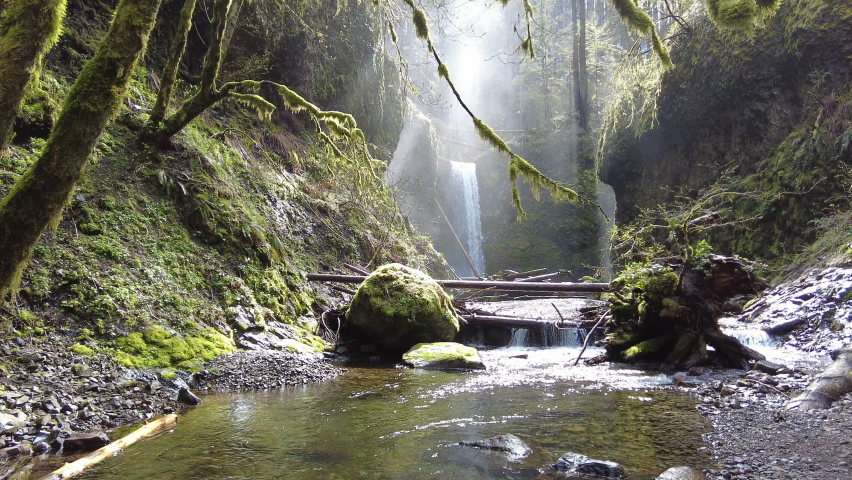 Light illuminates Multnomah Creek in northern Oregon as it flows through a forest and over scenic waterfalls. It eventually plunges into the Columbia River Gorge between Oregon and Washington.
