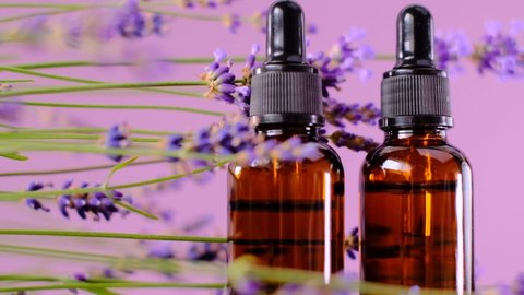 Lavender  oil.Aroma of lavender. Aromatherapy and massage.glass bottles of essential oil set  and lavender flowers on a purple background.