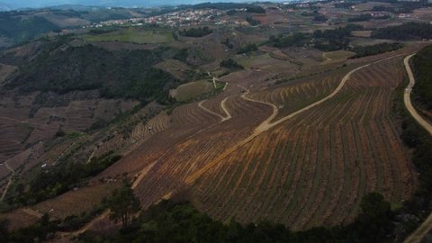 downward flight over a large mountainside completely covered with terraces for the viticulture of grapes for the porto wines in portugal