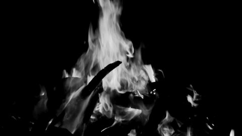 Fire flames on black background, Blaze fire flame texture background, Beautifully, the fire is burning, Fire flames with wood and cow dung bonfire Black and White