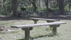 Benches at a Campsite in the Woods with A BBQ in the Background