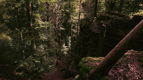 Aerial View: Drone flies forward, slowly descends downhill along the beautiful rock formation carved by erosion. Rocks, trees with moss and tinder fungus, Luxembourg forest