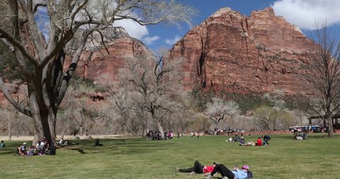 Springdale, Utah, USA - April 2022: Families gather to enjoy an afternoon at Zion National Park, one of America's most visited National Parks.