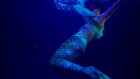 a mermaid with long hair swims away into the thickness blue water in the dark. view from the tail side