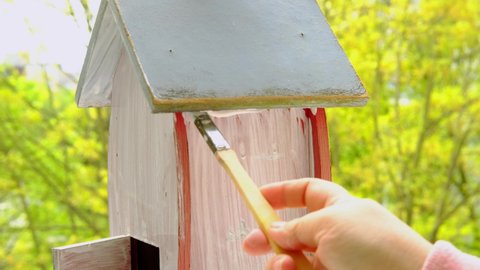 preparing a birdhouse for the new spring season, painting the house white with a paint brush, large strokes on the surface, the concept of a bird's housewarming, helping animals