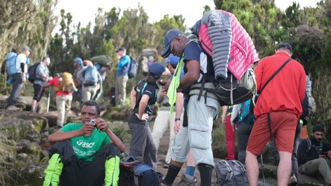 Kilimanjaro. Tanzania. Africa - 12.25.2021: Tourists halt to climb Mount Kilimanjaro. Hikers climb the Shira Camp through Afro-Alpine moorlands and meadows