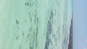 Vertical video of low tide in the ocean near the coast of Zanzibar, Tanzania, aerial view