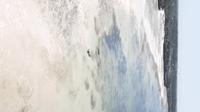 Vertical video of low tide in the ocean near the coast of Zanzibar, Tanzania, aerial view