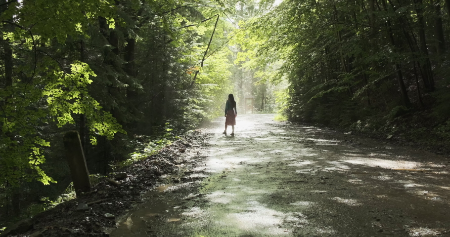 lonely young girl walks towards a glimpse of the sun in the forest. Green forest, spring, dirt road in the shade of trees.