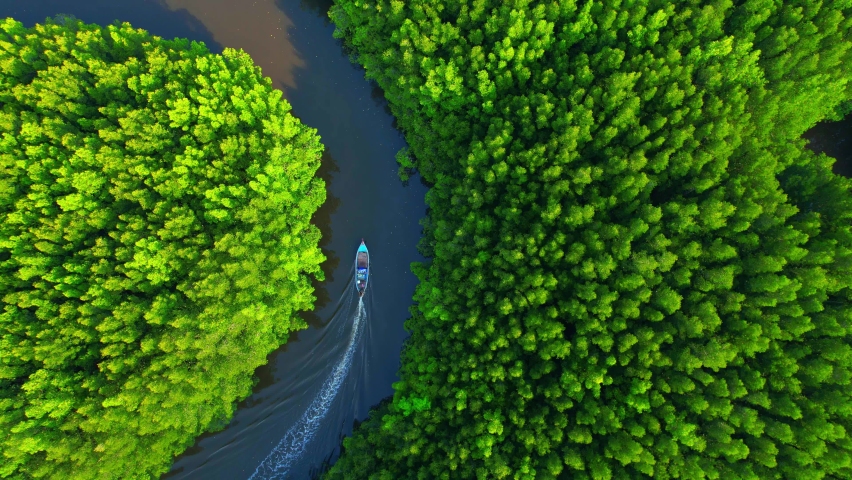 Top view of the boat cruising along the river with mangroves surrounding. Beautiful mangrove forest in Trang Province, Thailand. Aerial view from a drone. 4k Footage
 | Shutterstock HD Video #1089979143