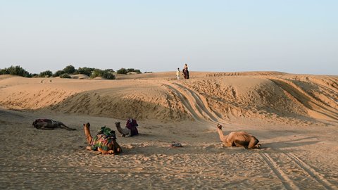 Thar desert, Rajasthan, India - October 16th 2019 : Tourists riding camels, Camelus dromedarius, at sand dunes of Thar desert. Camel riding is a favourite activity amongst all tourists visiting here,