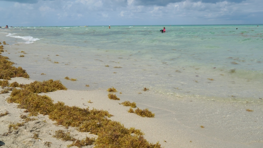 Crashing waves fort lauderdale beach