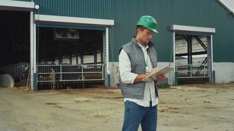 Farm worker holding clipboard making notes at modern livestock cowshed alone. Handsome happy man joyful supervisor posing outside barn wearing protective helmet. Holstein cows standing in feedlots.