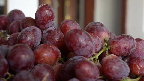 Closeup view 4k video footage of red seeded organic grapes raisins. Fruits of Chile. Bunch of fresh organic grapes isolated on blurry home interior background