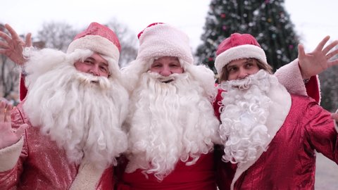 Three funny old bearded Santa -Claus welcome the New Year, they wave their hands hi