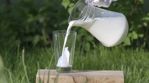 Milk pouring on a background of green nature. Concept of healthy eating, organic food and drinks, natural product. Milk pour from jug into glass outdoors. Countryside, summer day outdoor slow motion