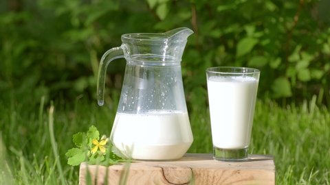 Fresh milk in glass standing on lawn in middle of grass. Concept of healthy eating, organic food and drinks, natural product. Milk pour from jug into glass outdoors. Countryside, summer day outdoor