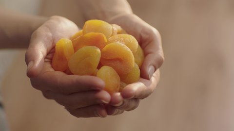 Close-up view of fresh apricots. Woman holding a pile of fresh apricots.
