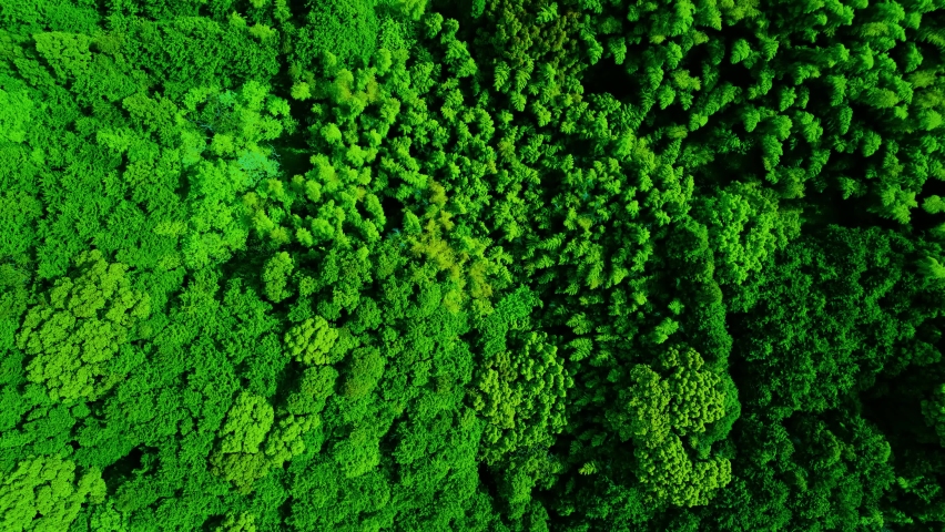 Green forest aerial view and environmental technology concept. Green tech. Ecology. Green transformation. GX. SDGs. | Shutterstock HD Video #1089997941