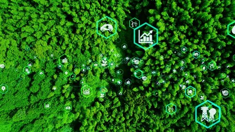 Green forest aerial view and environmental technology concept. Green tech. Ecology. Green transformation. GX. SDGs.