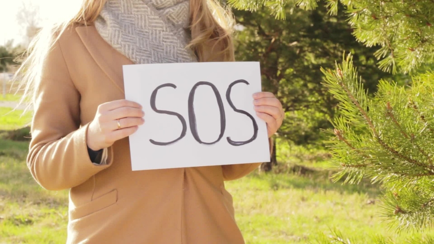 Attractive woman holding SOS plate with standing near conifer tree on bright vibrant day, close up view