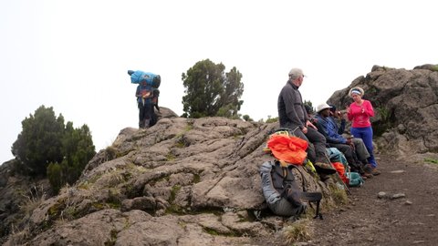 Kilimanjaro. Tanzania. Africa - 12.25.2021 Tourists rest on the trail on the way to the Shira camp, porters with large trunks pass them while climbing Mount Kilimanjaro