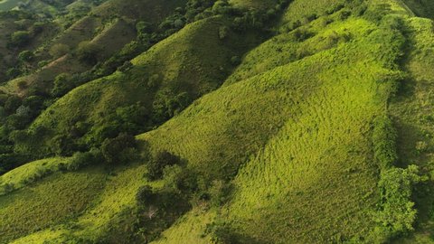 Green grass and forest trees on the mountain slopes. Beautiful mountain landscape on a sunny day. Wildlife of the Dominican Republic. Tropical forest on mountain slopes. Tourist routes.