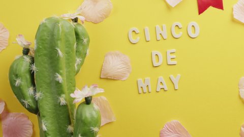 Cinco de mayo background for the party