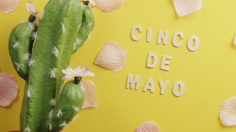 Cinco de mayo background for the party