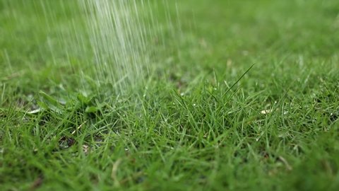 Watering the lawn with water in summer. gardening concept. drops of water from the ameliorative irrigation system are fed to grow ing garden plants against a sunny day.