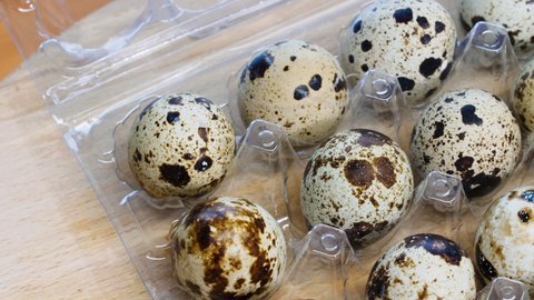 Quail eggs in a package on the table. Slow motion. Spotted quail eggs in a transparent box on a wooden background. Natural eco-friendly healthy products. Lots of fresh quail raw eggs. Close-up