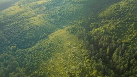 Amazing view of green meadows overgrown with bushes. Footage from a bird's eye view. Location place Dniester River, Ukraine, Europe. Cinematic drone shot. Filmed in UHD 4k video. Beauty earth.