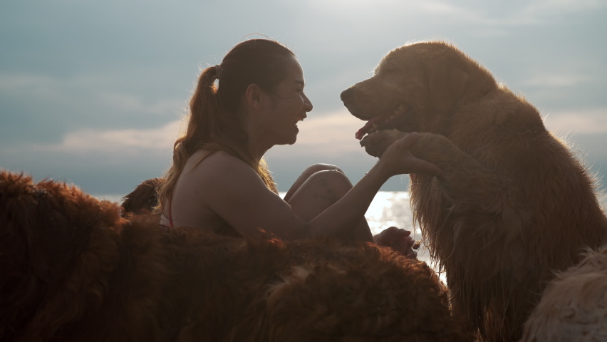 Positive woman playing with golden retriever dogs asking for hands or paws with sweet pets, Friendly dog giving left hands or pews to owner with loyalty sitting on wonderful beach with sunset light | Shutterstock HD Video #1090031815