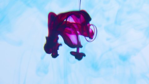 Real shot color vibrant ink paint drops in water in slow motion. Ink swirling underwater. slow motion video white background with copy space. Abstract background