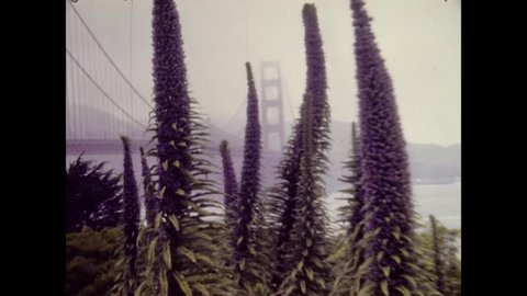SAN FRANCISCO, USA MAY 1979: Golden Gate Bridge in 70's