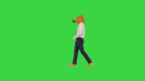 Comic joking businessman in formal clothes walk wearing horse mask on head funny looking at camera on a Green Screen, Chroma Key. - Powered by Shutterstock - Get 15% off with code: PIKWIZARD15