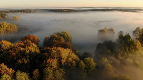 Majestic Mist Forest. Aerial View. Sunrise in Misty Countryside. Magical Fog to Horizon. Epic Amazing Nature Landscape Amazing Aerial View of Foggy and Colorful Trees on Sunrise. Autumn Fog Landscape