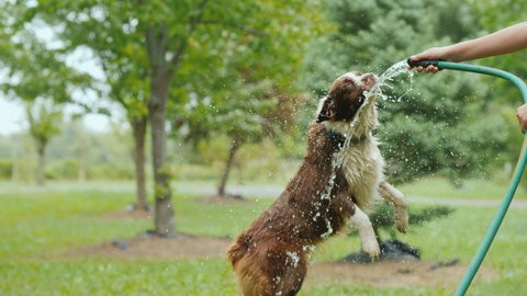 591 Men Showering Together Stock Video Footage - 4K and HD Video Clips