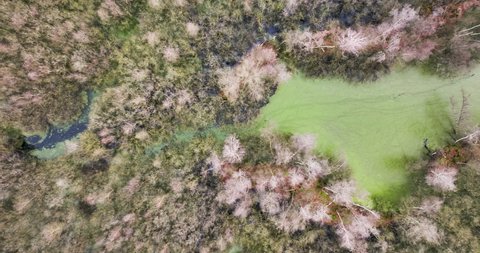 Aerial view of a lagoon with forest flooded during high water season, Limburg, Netherlands.
