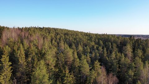 A Finnish forest on a hill filmed in the spring with a drone. The surrounding is a typical Scandinavian landscape