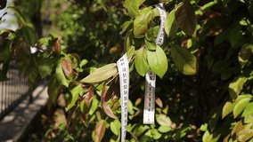 diet concept with measure tape in the garden 